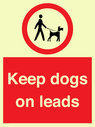 dogs-on-lead-symbol-with-black-text-on-white-background~